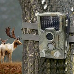 Outdoor Cameras