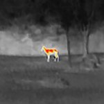 FLIR Scout TK Warmtebeeldcamera